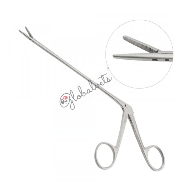 Ear Instruments
